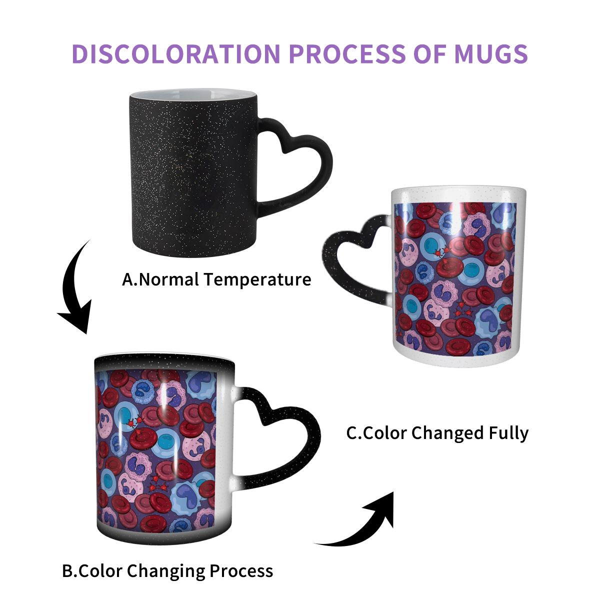 Hematology Blood Cells Medical - Medical Lab Gifts review and price